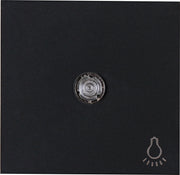 Kopp HK07 - bedieningswip wip met lens en licht symbool met bevestigingsplaat mat-zwart 490447002