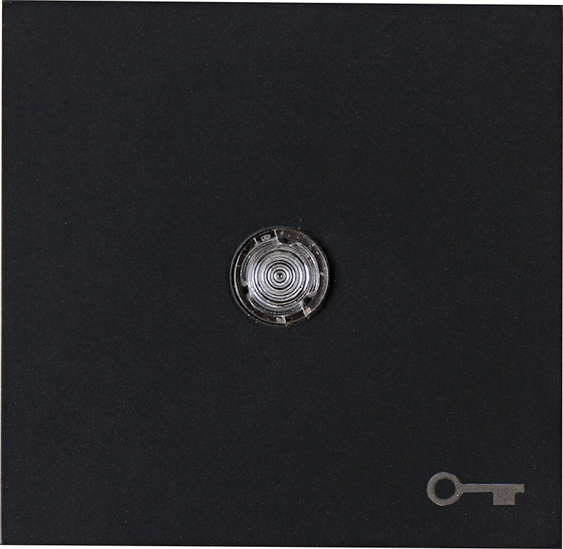 Kopp HK07 - bedieningswip wip met lens en Sleutel-symbool met bevestigingsplaat mat-zwart 490467006